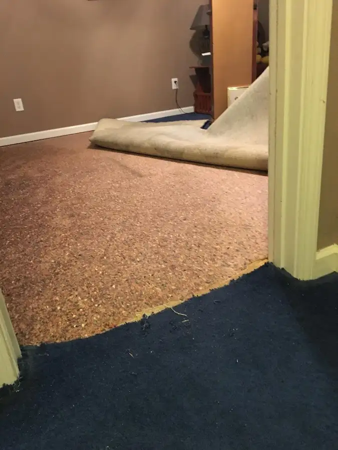 Carpet pad removal revealing water damage during Water Mitigation Services in Bethalto