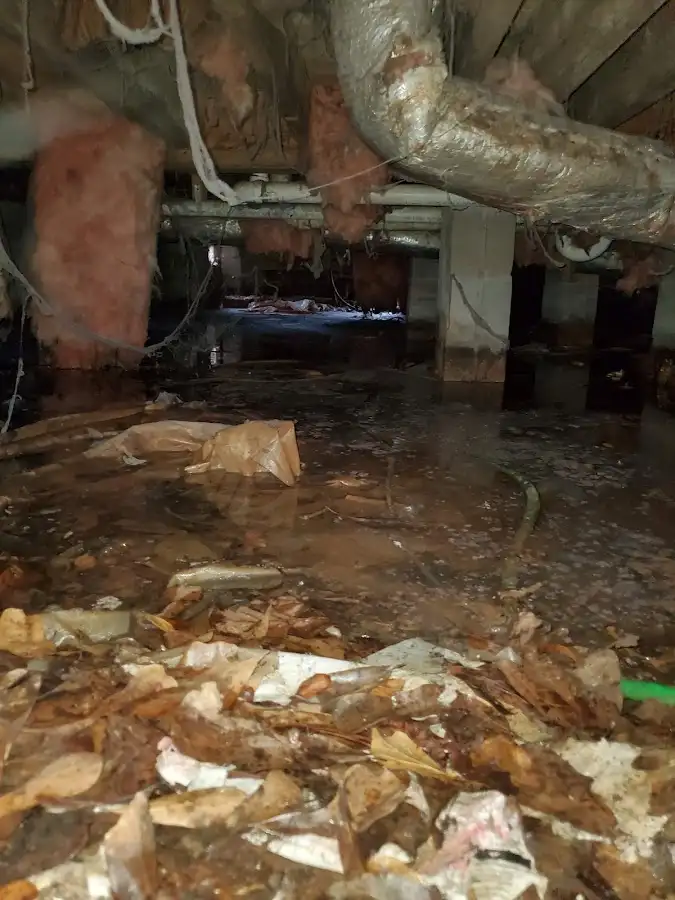Crawl space flood assessment for Commercial Water Damage Restoration in Bethalto